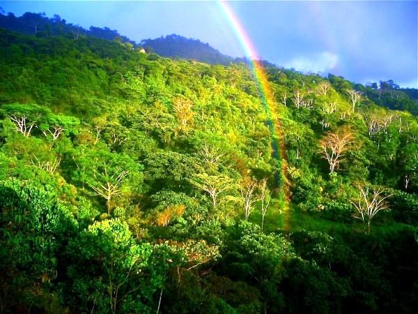 Why Green Season Is Great In Costa Rica!